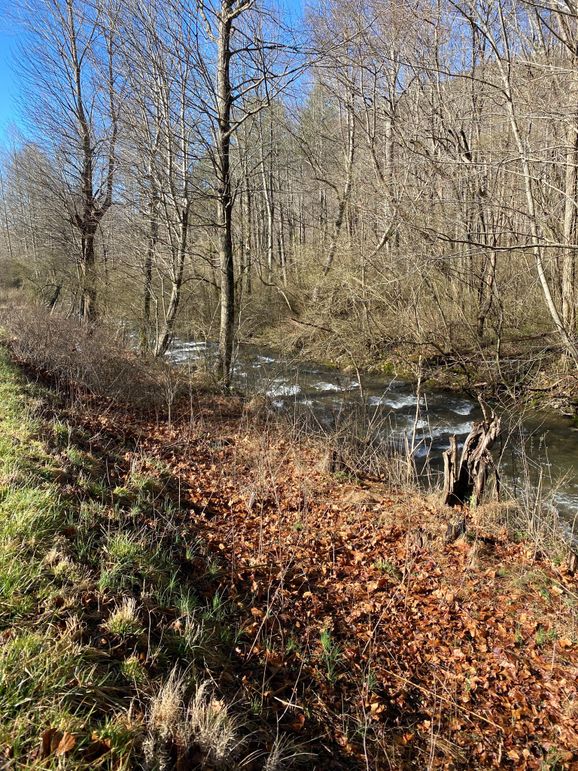 Cherokee 20 Brady-18