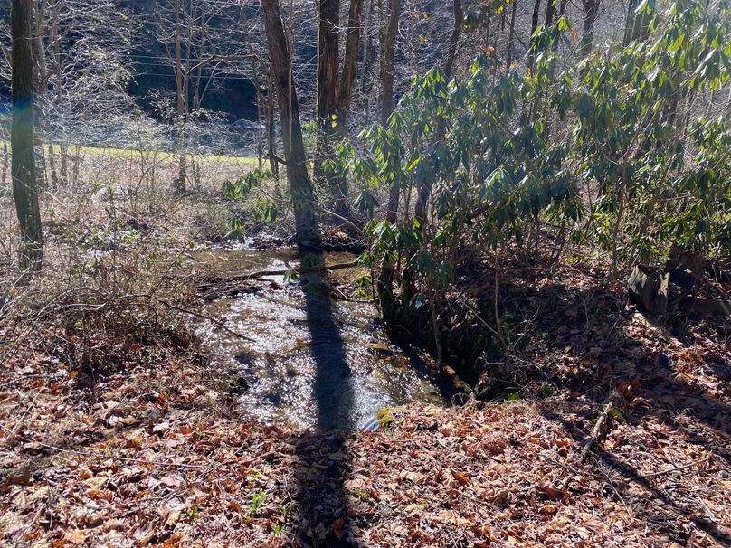 Cherokee 20 Brady-08