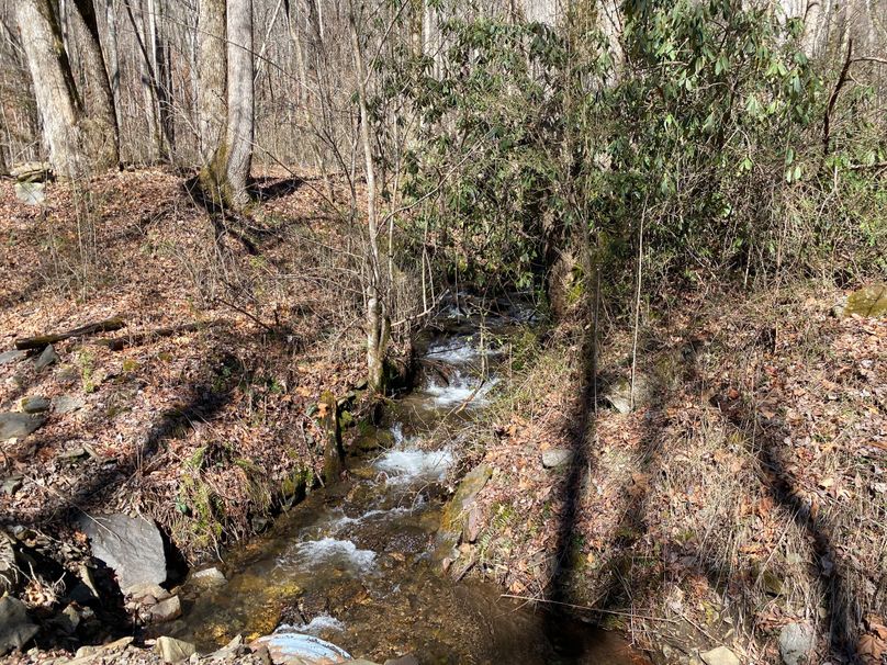 Cherokee 20 Brady-09