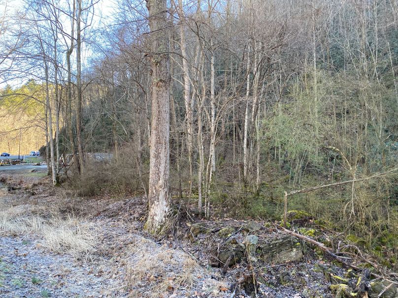 Cherokee 20 Brady-12