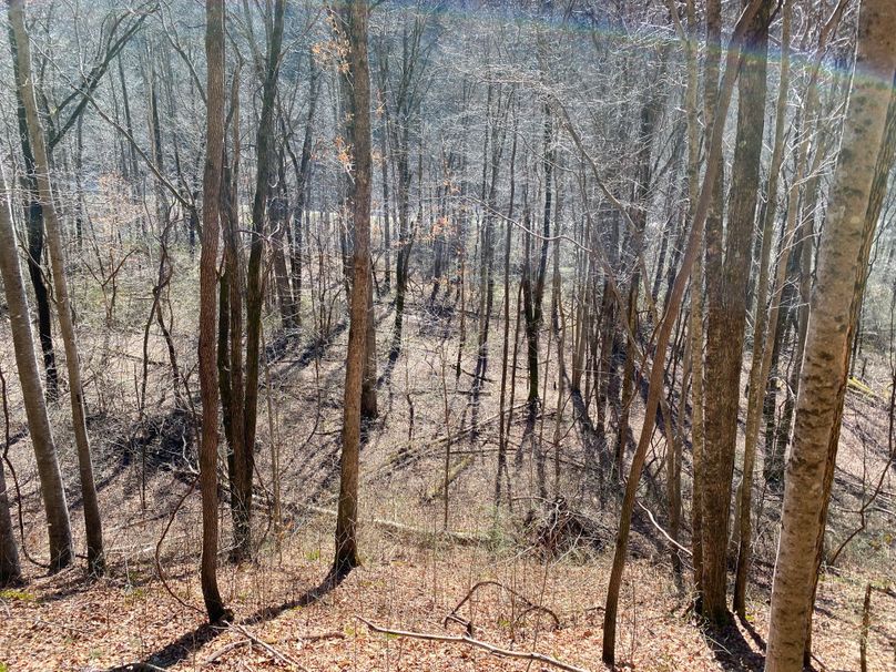 Cherokee 20 Brady-06