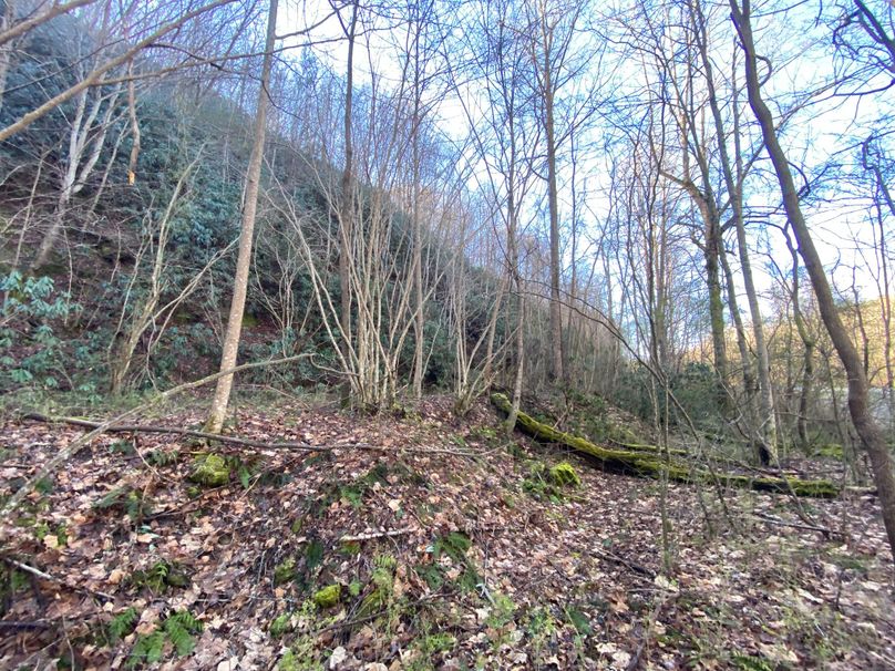 Cherokee 20 Brady-17