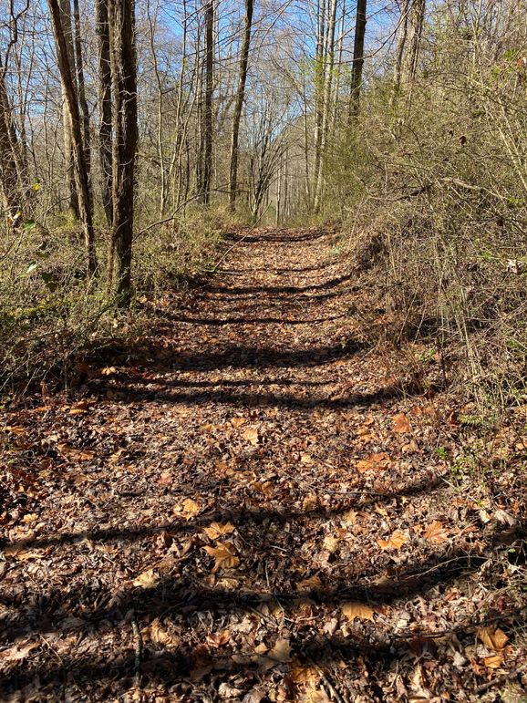 Cherokee 20 Brady-07