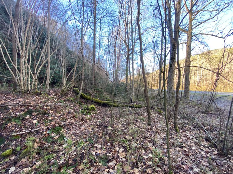 Cherokee 20 Brady-16