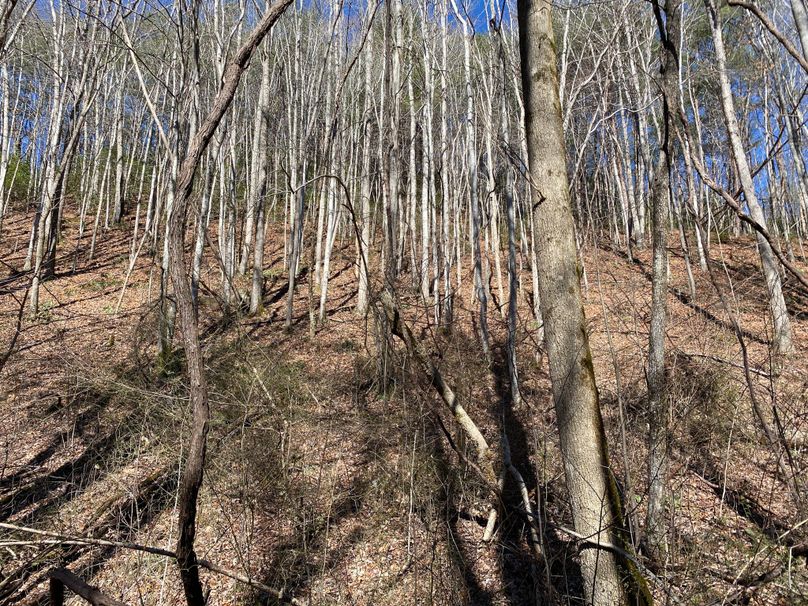 Cherokee 20 Brady-05