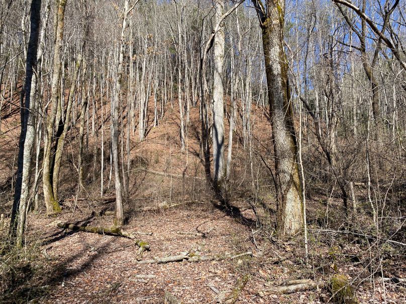 Cherokee 20 Brady-03