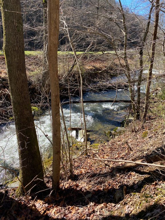 Cherokee 20 Brady-01