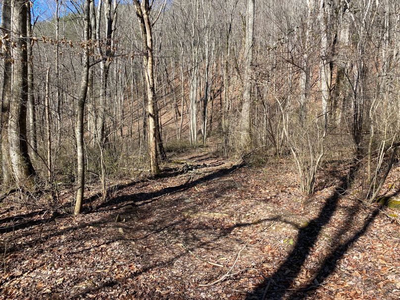 Cherokee 20 Brady-04