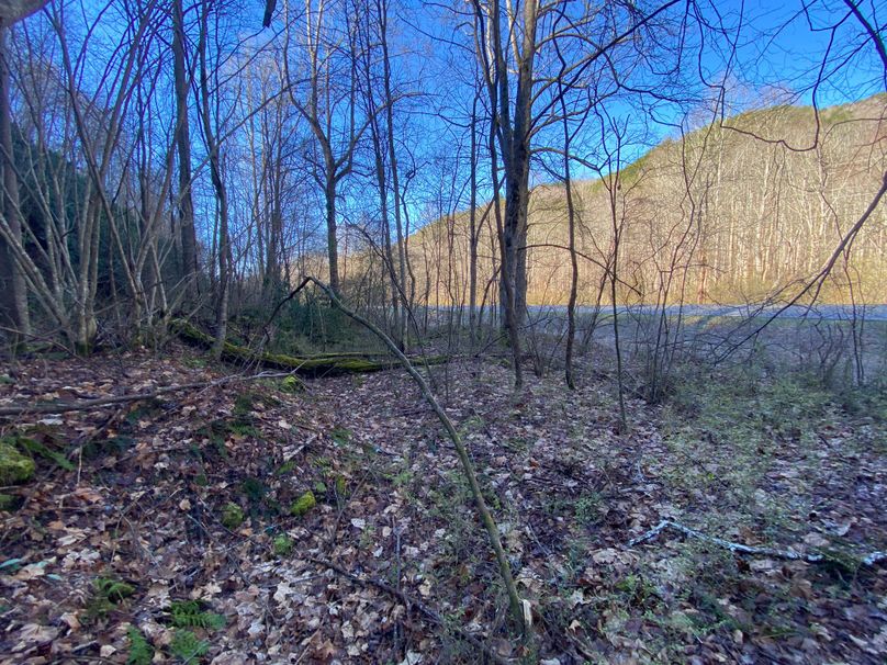 Cherokee 20 Brady-15