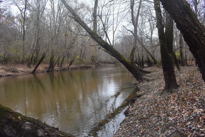 (18)Tuscumbia River