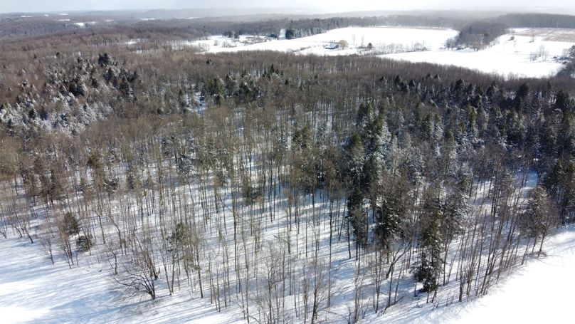 DJI_0427