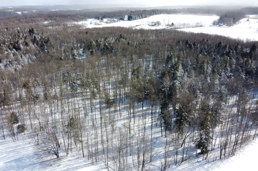 DJI_0427