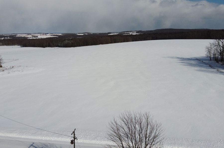 DJI_0425