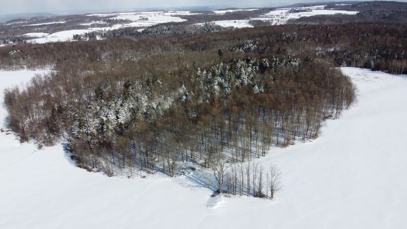 DJI_0426