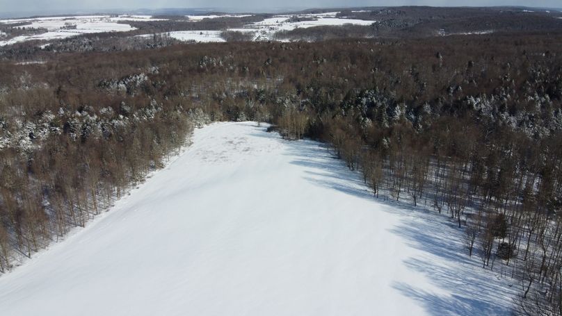 DJI_0431