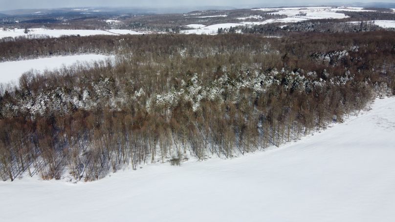 DJI_0430