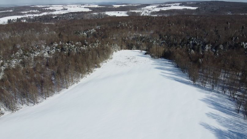 DJI_0428