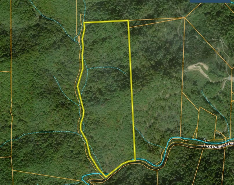 Screen Shot 2022-02-05 at 12.03.42 PM