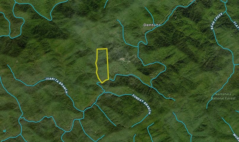 Screen Shot 2022-02-05 at 12.03.22 PM