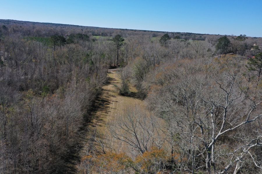 DJI_0953