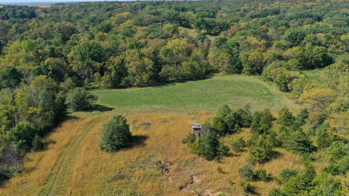 Combination Farm With CRP Near Osceola, IA Whitetail Properties