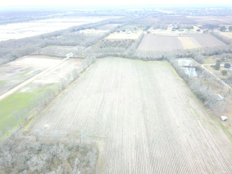 DJI_0008