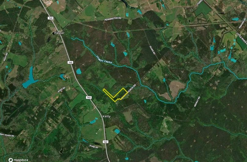 Jasper county 25.23 acres map2