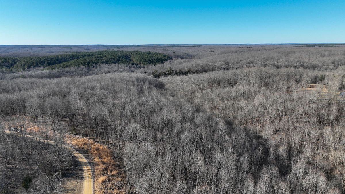 Amazing Hardwood Tract Just Off Natchez Trace Parkway | Whitetail ...