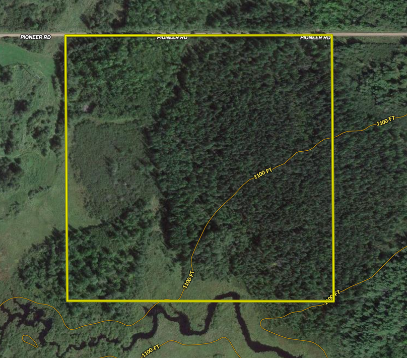 Screen Shot 2022-02-09 at 6.48.38 AM