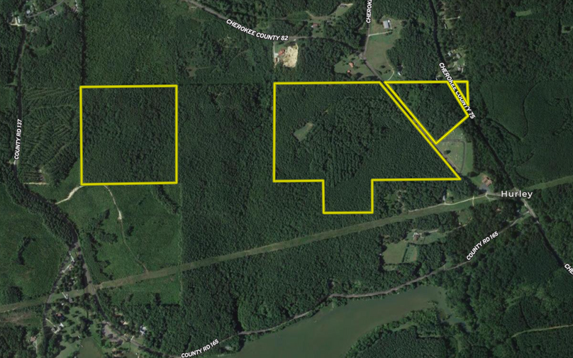 Screen Shot 2022-02-14 at 12.49.45 PM