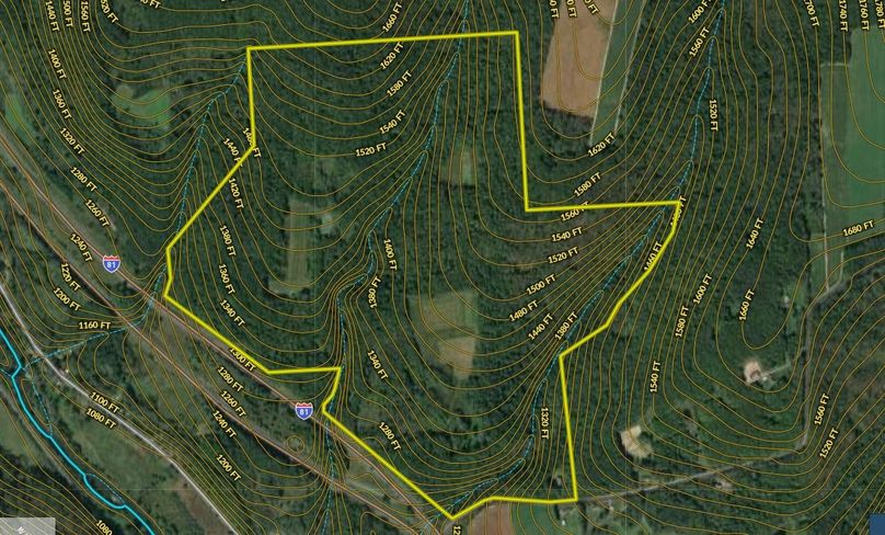 Z Cortland 301.19 Kelly Topo