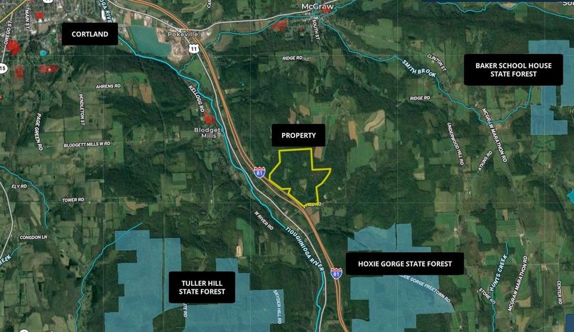 Z Cortland 301.19 Kelly Wide Area