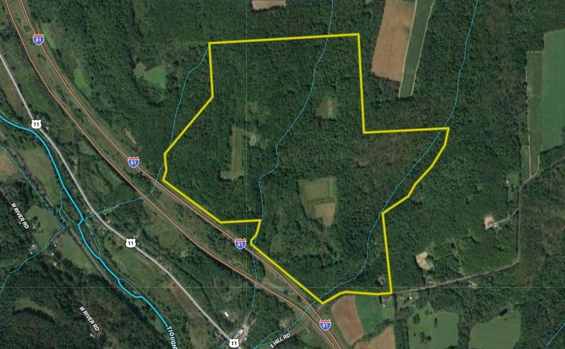 Z Cortland 301.19 Kelly Google