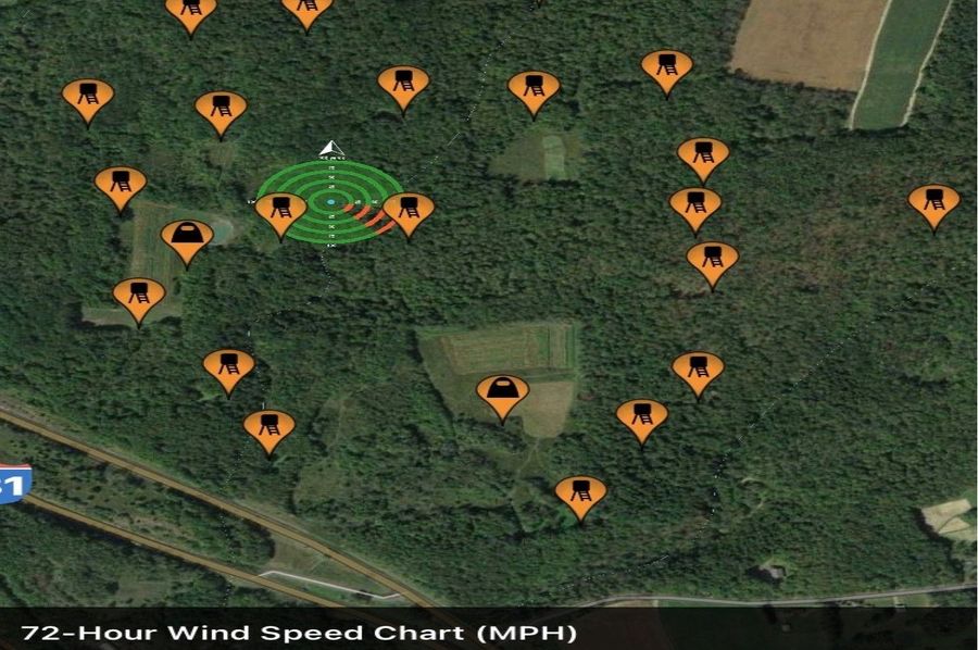 Kelly Tree Stands 