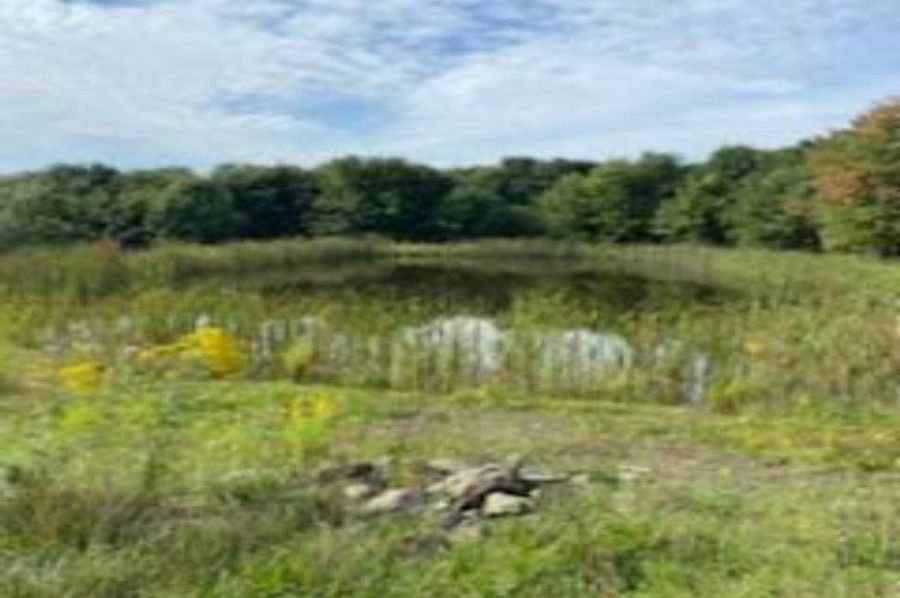 Kelly Pond V2