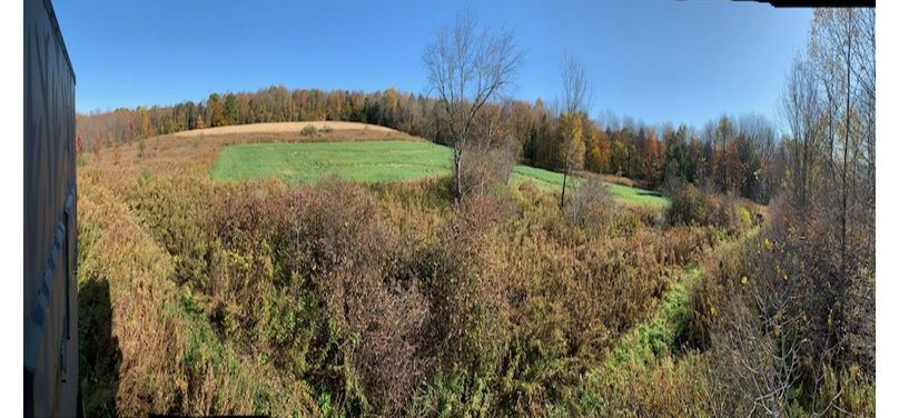 Kelly Outdoor 4 panorama