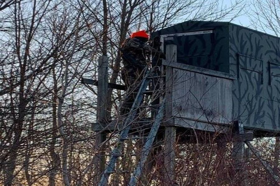 Kelly Tree Stand V1