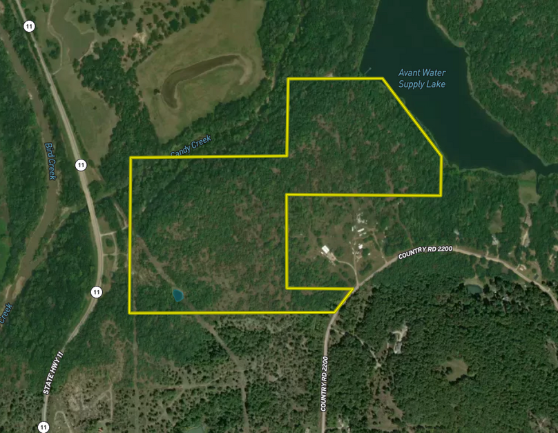 Screen Shot 2022-02-14 at 4.45.45 PM