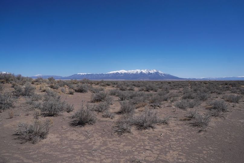 DSC01795