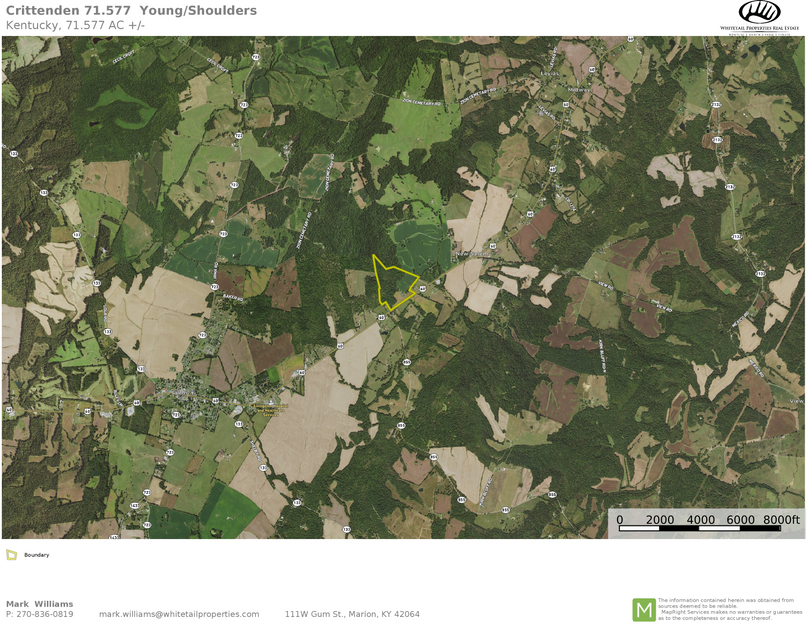 Crittenden 71.577 airplane