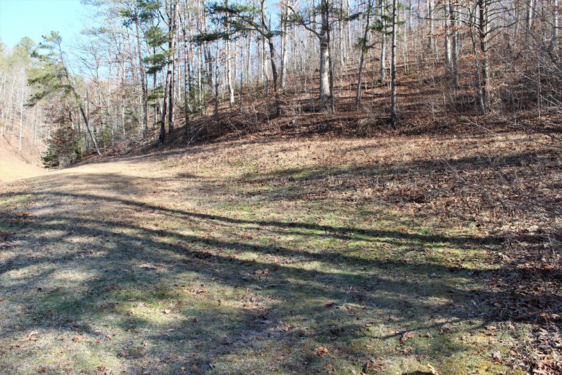 019 open field area along KY 172, perfect for small cabin or RV