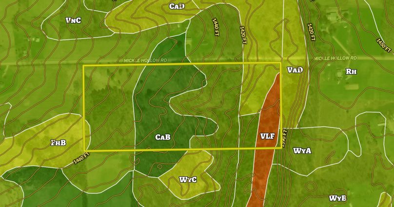 Screen Shot 2022-02-15 at 6.32.59 PM