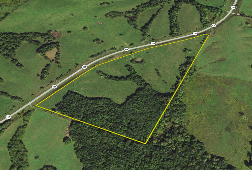 Screen Shot 2022-02-09 at 12.47.48 PM(1)