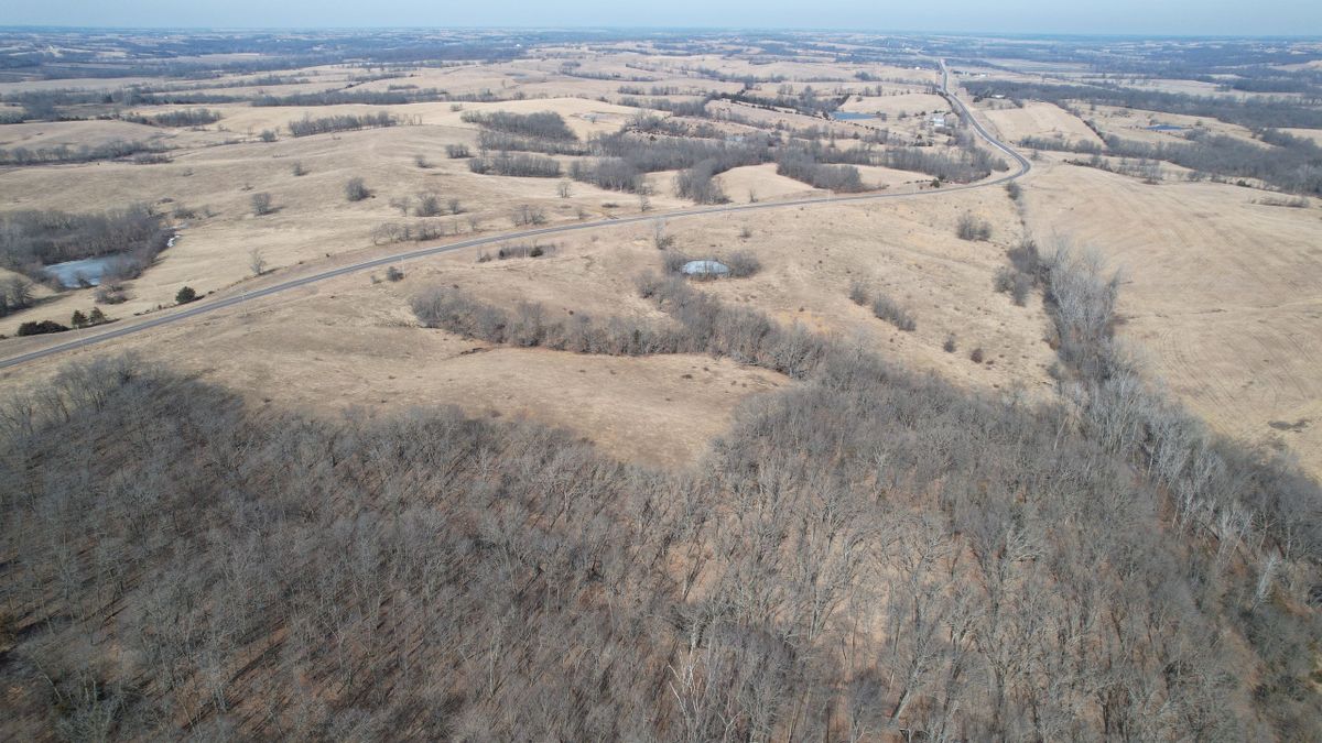 Pasture And Hunting Farm For Sale Near Harris Whitetail Properties