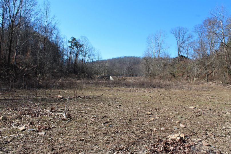015 pasture area in the south area of the property along the creek