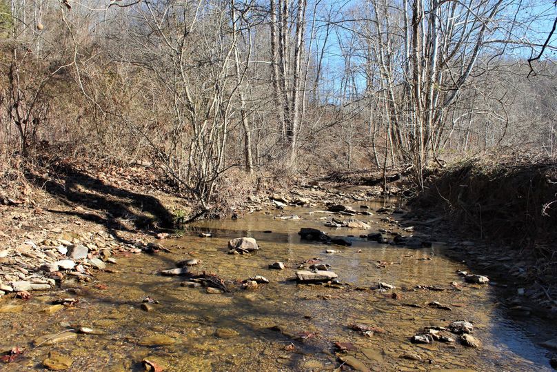002 Pawpaw Creek running through the southern most area of the property