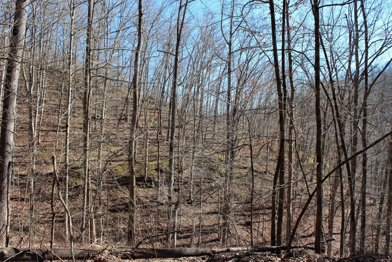 019 forested southwest facing slope near the east boundary
