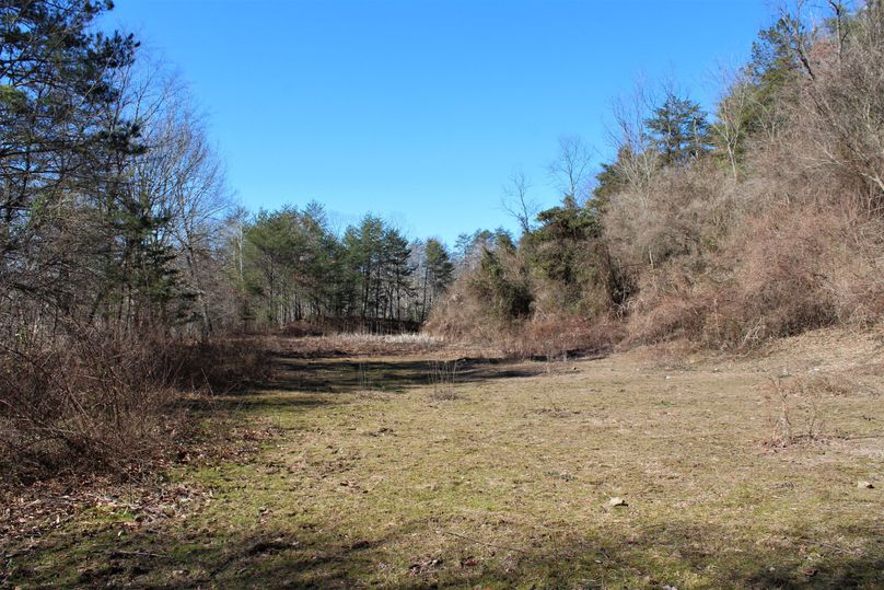007 small pasture area on top of the center ridge