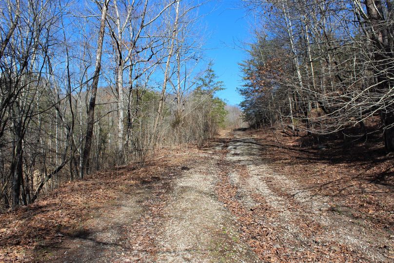 020 the road leading up to the main center point in the middle of the property