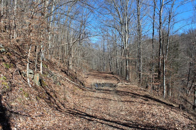 003 one of the many roads leading throughout the property